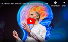 Conscious Rreality Illusion